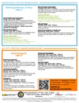 📊 Microsoft Excel: Intermediate